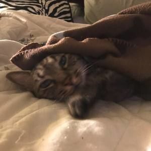 Meet your Posher, Mary beth